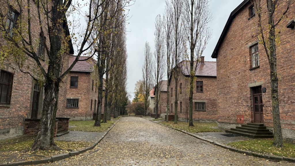 Krakau: Tag 1 (1./2.11.25)